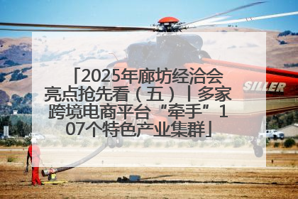 2025年廊坊经洽会亮点抢先看（五）丨多家跨境电商平台“牵手”107个特色产业集群